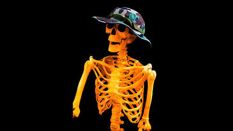Click to Enlarge-Esc to Close EventPhotos/Halloween/skel2.jpg