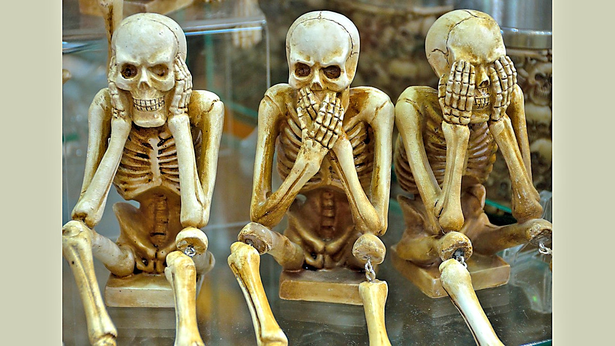 Click to Enlarge-Esc to Close EventPhotos/Halloween/skeletons.jpg
