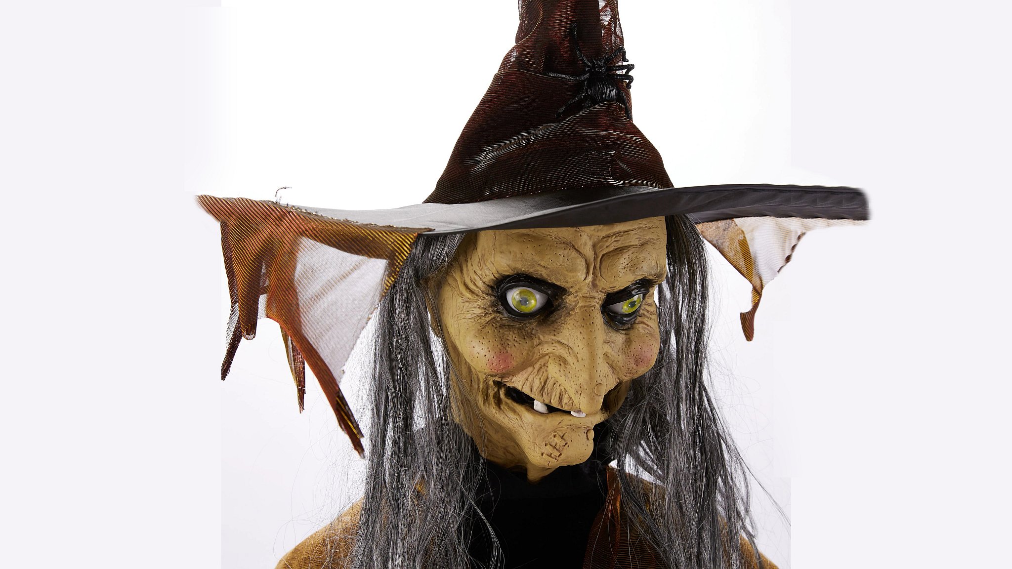 Click to Enlarge-Esc to Close EventPhotos/Halloween/witch3.jpg